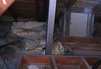 Rodent Proofing Project | Attic Cleaning Sunnyvale, CA